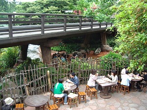 The train crosses overhead. Below you can see a log from Splash floating by.