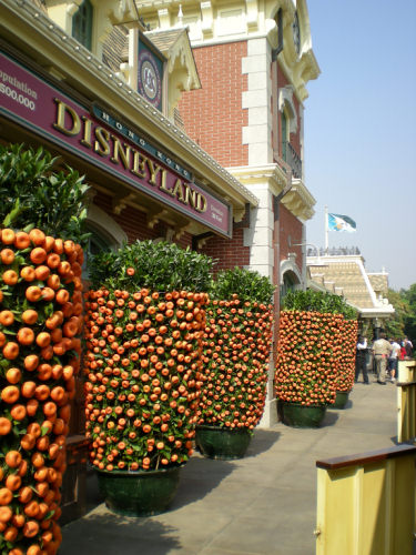 Hong Kong Disneyland at Chinese New Year