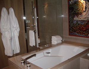 The bathtub. The shower is beyond the tub but hard to see because it's all glass.