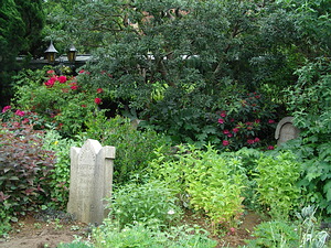 Graveyard at Haunted Mansion, showing the lovely landscaping.