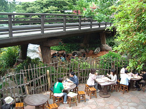 The train crosses overhead. Below you can see a log from Splash floating by.