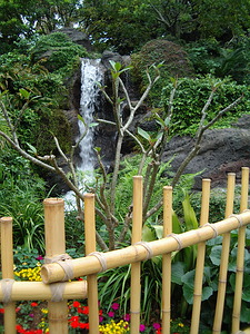 Landscaping at the base of Swiss Family Treehouse
